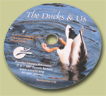 The Ducks & Us CD