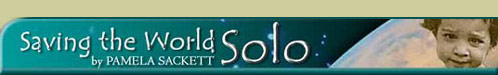 Visit savingtheworldsolo.com!