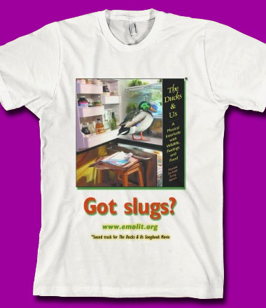 The Ducks & Us Song CD